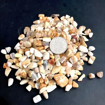 100g Natūralaus Akmens Chrizantemų Akmens, Koralų Jade Kristalų Kvarco Mineralų Pavyzdys Roko Chip Žvyro Neapdorotų Žaliavų, Energijos Apdaila